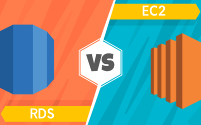RDS vs EC2: What to Choose for Max Performance?