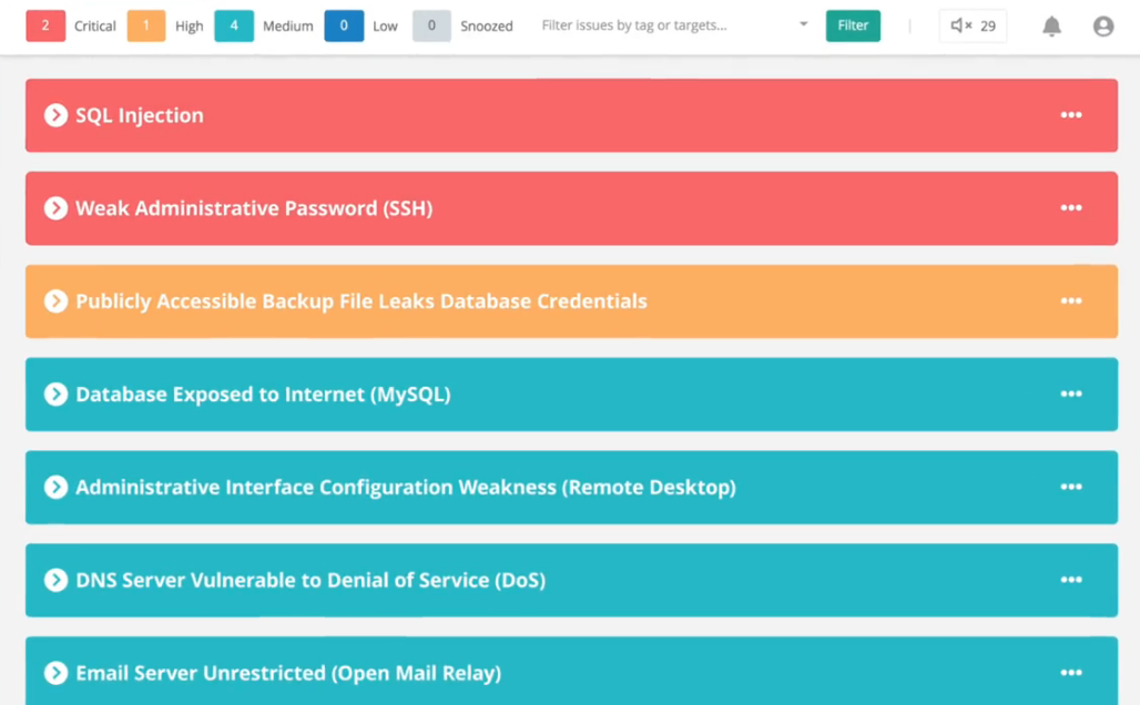 Website Security Audit